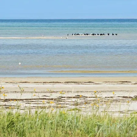 Ferienhaus 8590-glesborg-hasselovej-7